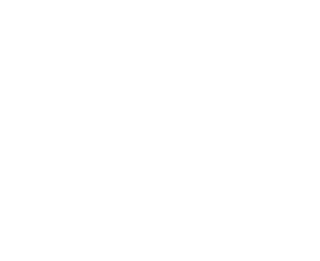 Penumbra White Logo